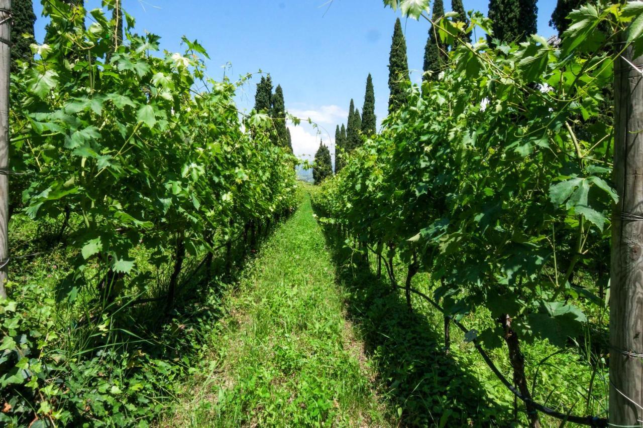 Villa Betteloni Valpolicella Suites Сан-Пьетро-ин-Карьяно Экстерьер фото