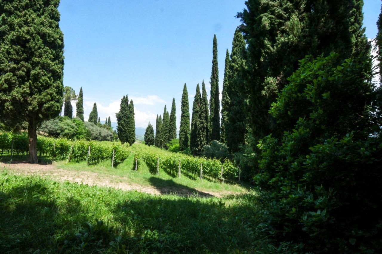 Villa Betteloni Valpolicella Suites Сан-Пьетро-ин-Карьяно Экстерьер фото