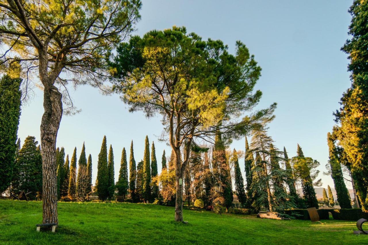 Villa Betteloni Valpolicella Suites Сан-Пьетро-ин-Карьяно Номер фото